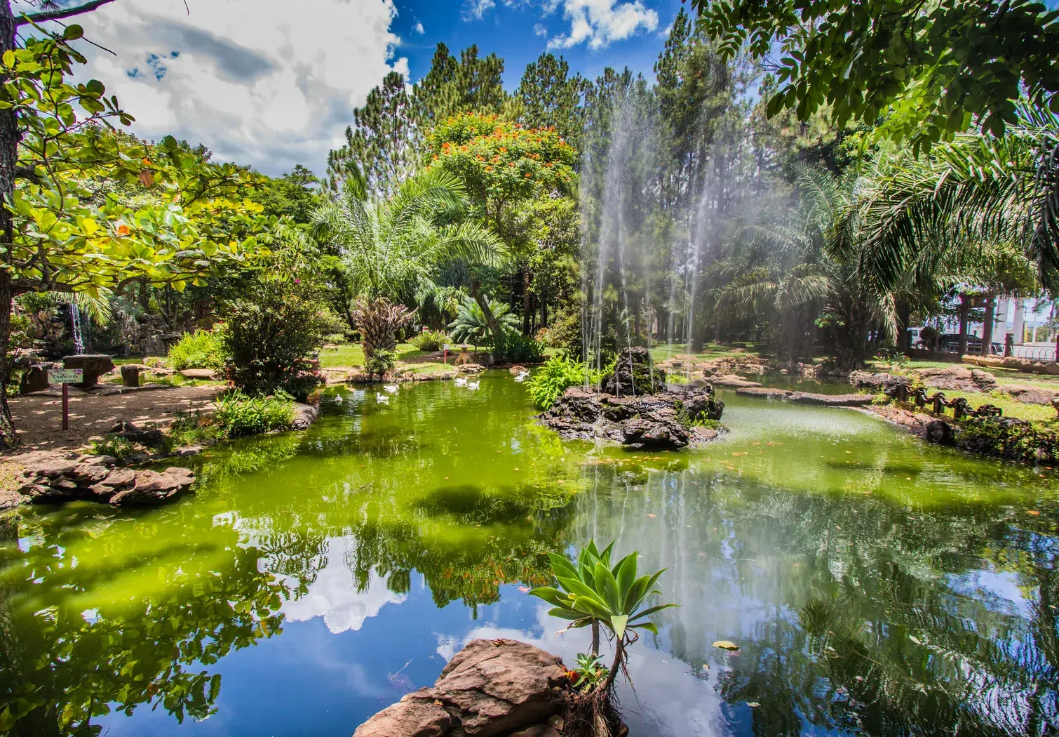 Caldas Novas — jardim e paisagem natural