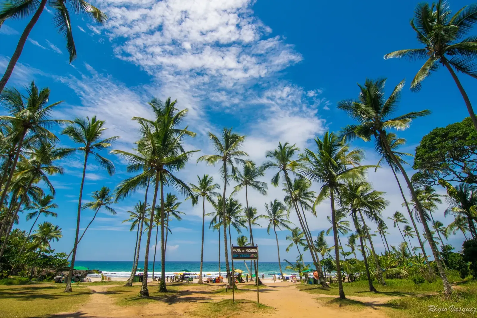 Itacaré — praia e coqueirais