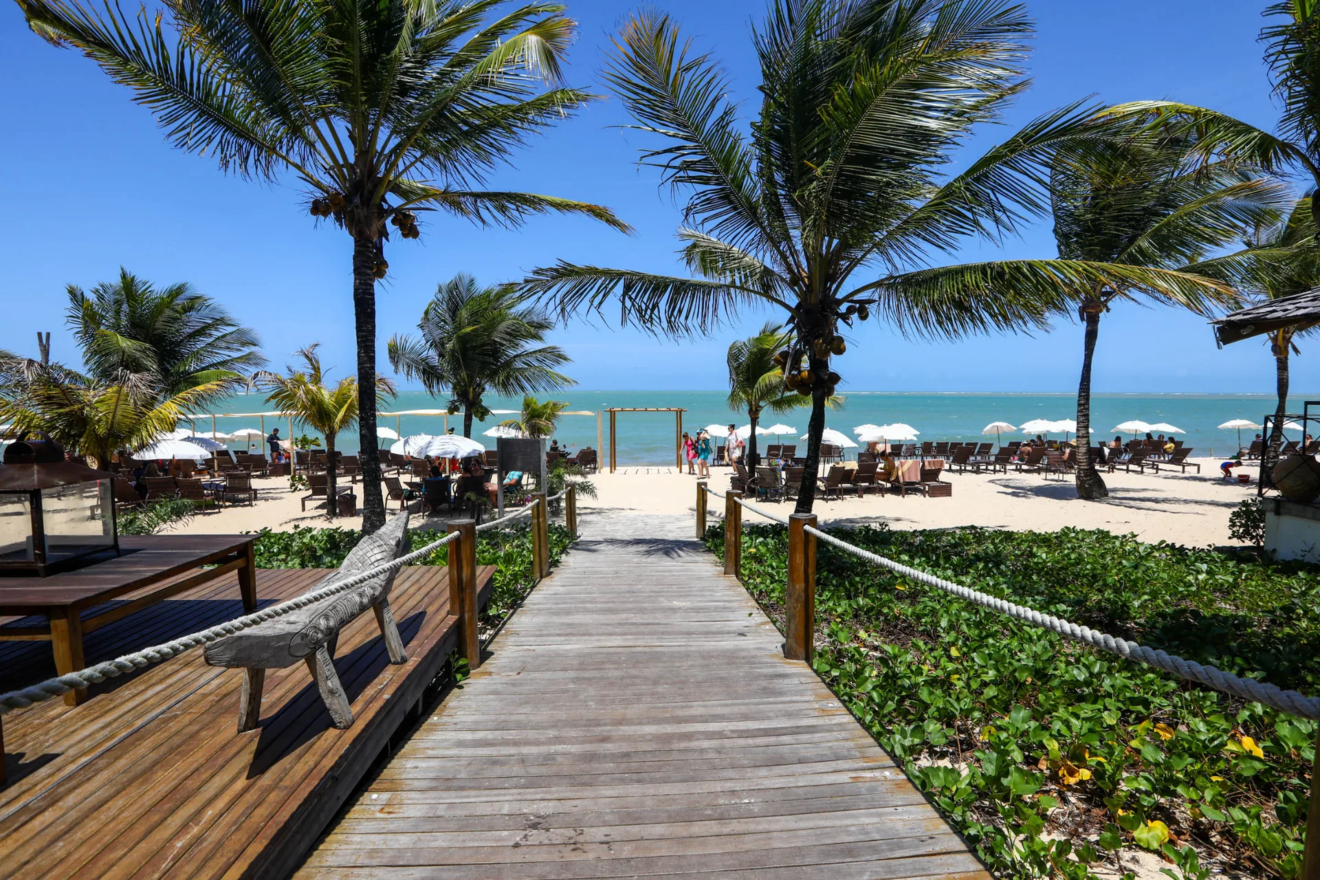 Porto Seguro — praia e coqueirais